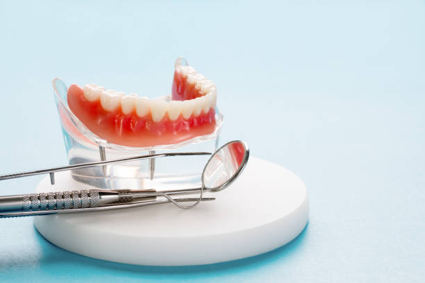 Best Preventive Dentistry  in Cambridge, WI